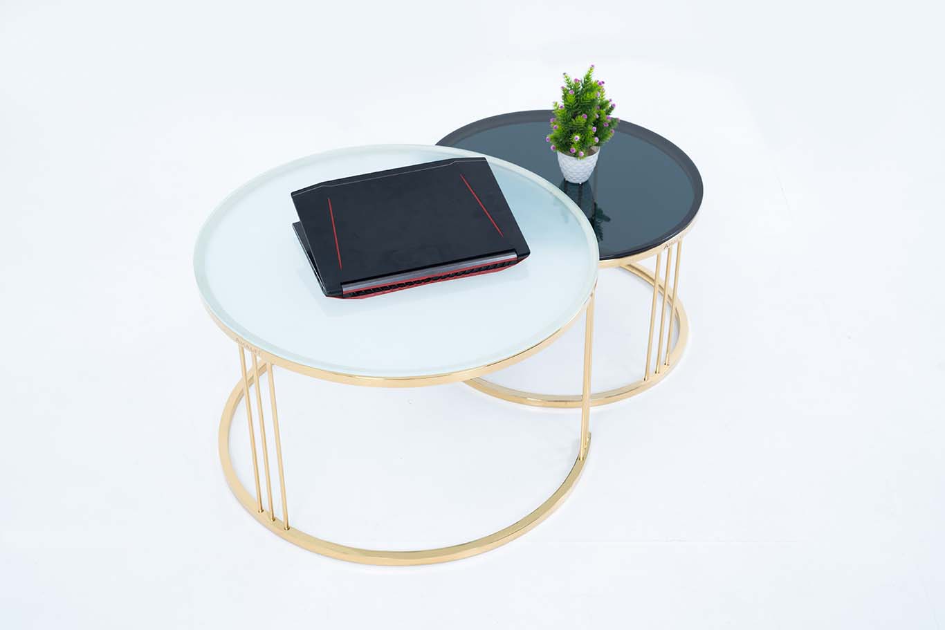 Dream Arts Round Coffee Table Set of 2, Modern Side Tables  
